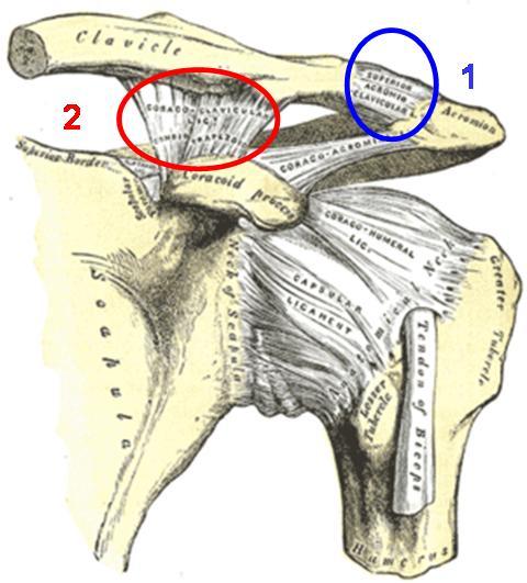 post-4437-1253783436_thumb.jpg