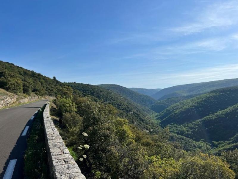 Les gorges de la Nesque 17 mai 2022.jpg