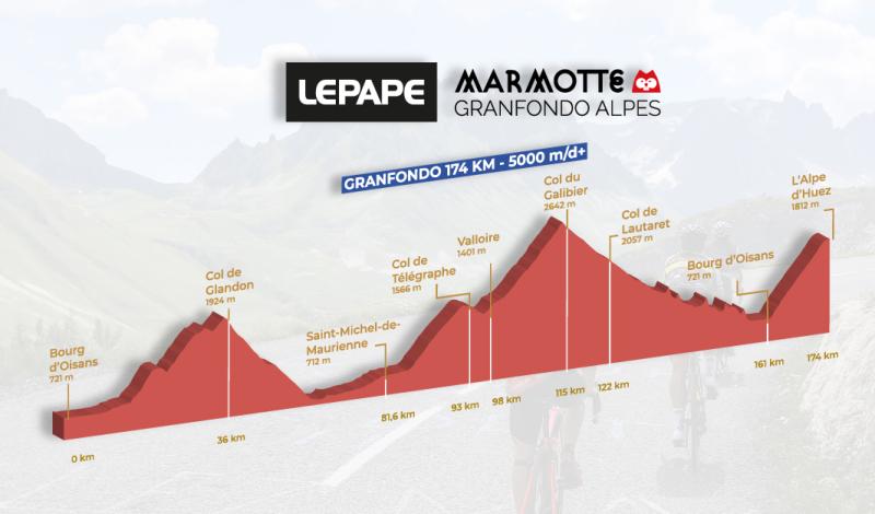 MarmotteAlpes_Profil2.jpg