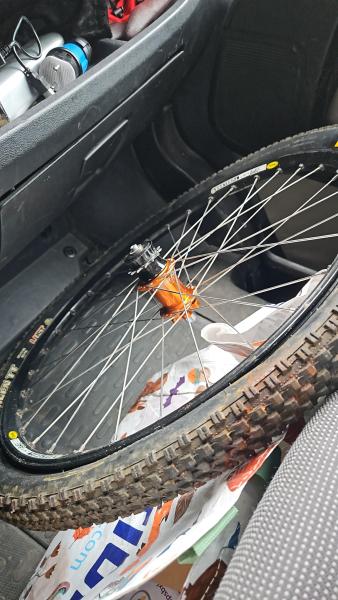 IMG-20240505-WA0010.jpeg