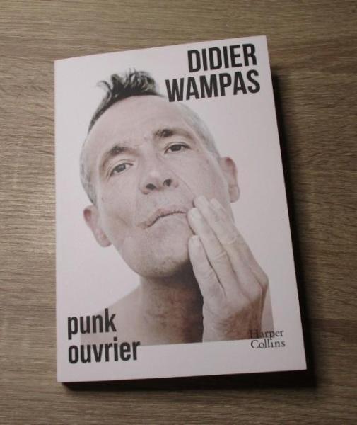 Punk ouvrier - Didier Wampas 001.JPG