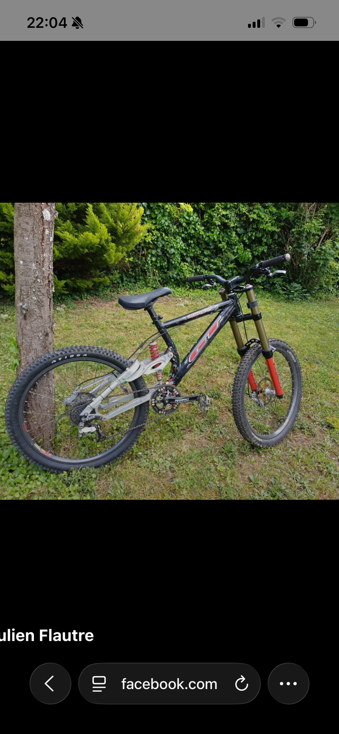 Gt Lobo