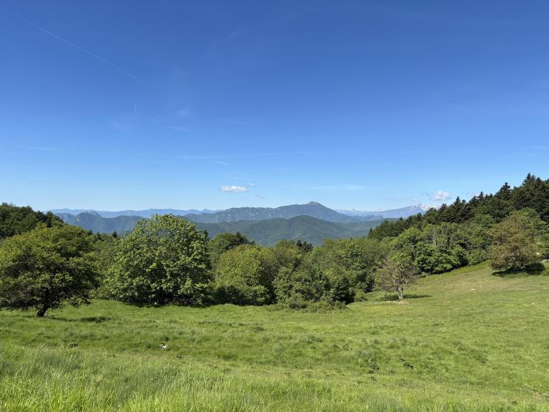 IMG_2027.JPG